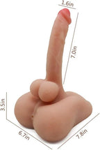 MEDIO TORSO PAUL