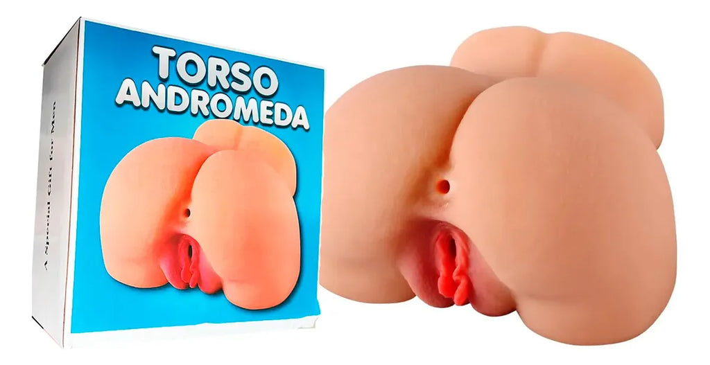 TORSO ANDROMEDA