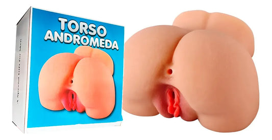 TORSO ANDROMEDA