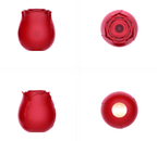 VIBRADOR Y SUCCIONADOR ROSITA