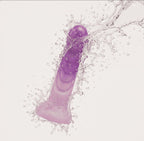 DILDO AFRODITA CAMTOYZ